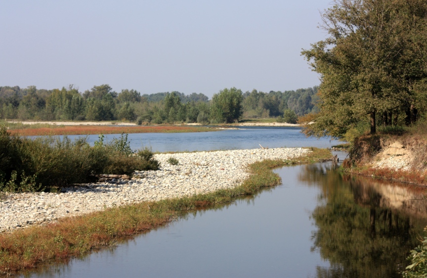 due passi nella brughiera del parco del ticino